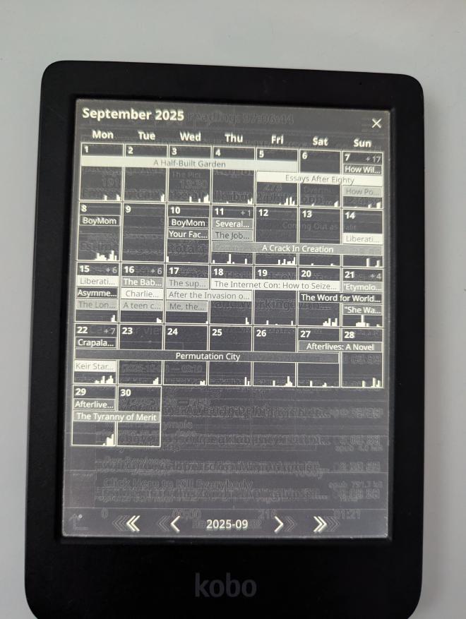 Calendar view of my reading